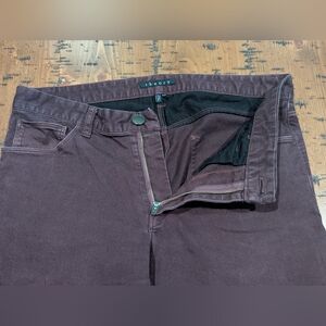 Theory 31 Dark Red Slim Straight Jeans